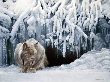 Robert Bateman – “Dozing Lynx” Limited edition, signed and numbered canvas with museum quality solid wood framing